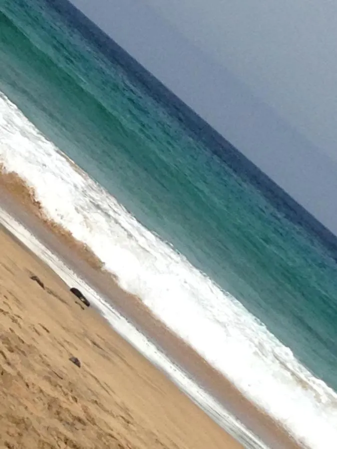 Apartament Bluesun Cotillo